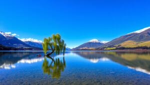 Wanaka Things to Do: Top Attractions, Free & Family Activities